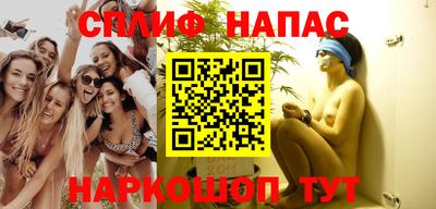 сатива Бузулук