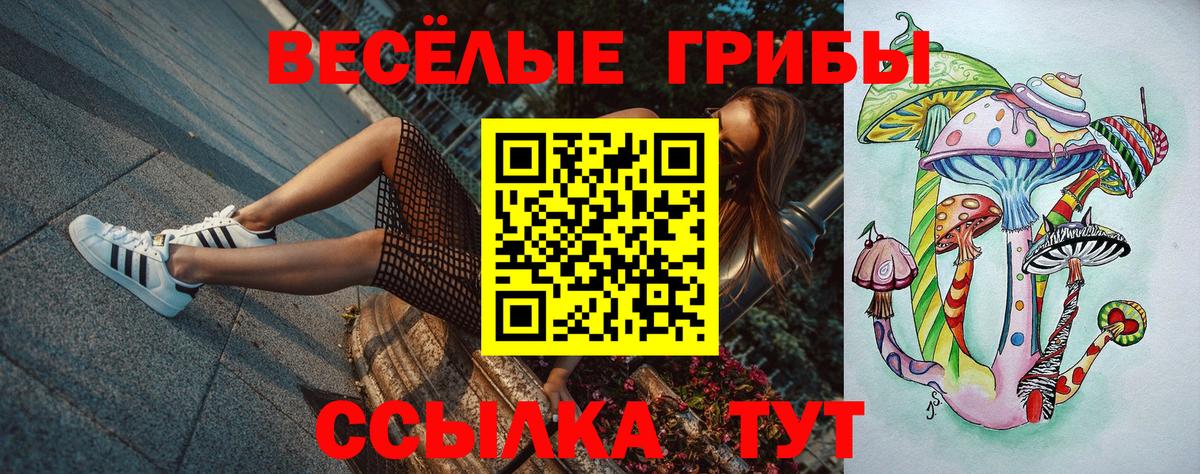Псилоцибиновые грибы GOLDEN TEACHER  Вход с VPN  Галлюциногенные грибы ЛСД  наркошоп  Тында 