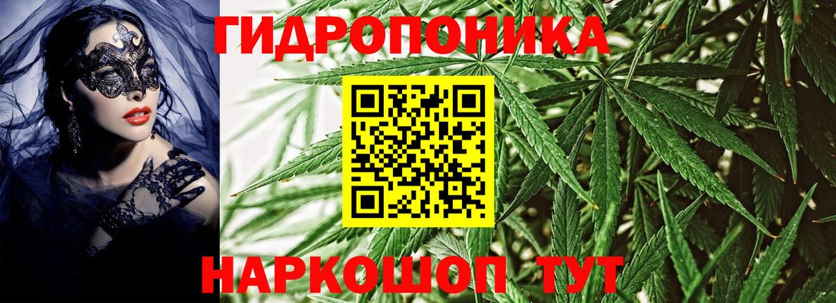 Бошки Шишки тримм  Вход с VPN  Тында  Бошки марихуана Bruce Banner 